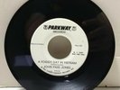 John Paul Jones - Foggy Day In Vietnam / Baja - PARKWAY RECORDS P-915 - PROMO