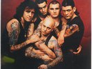 Rose Tattoo: Scarred for Life - NOS Factory Sealed 12