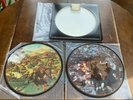 THE LORD OF THE RINGS ORIGINAL SOUNDTRACK LIMITED EDITION 2 LP PICTURE DISC 1978