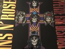 Guns N' Roses Appetite for Destruction Reissue Double LP Limited Edition GNR