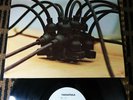 RARE 1968 PROMO ORIG   TARANTULA   FUZZ FREAKS ACID GARAGE PSYCH & ZAPPA TRIPS