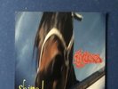 kyuss -shine- 7“ Vinyl