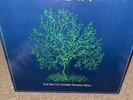 NICK DRAKE 'FRUIT TREE : THE COMPLETE RECORDED WORKS' 3LP BOX SET ISLAND 1979