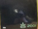 Dr.Dre. The Chronic 2001. 2 X 12