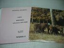Kate Bush BABOOSHKA postcard Tonpress R-1074