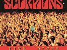 Scorpions - Live Bites
