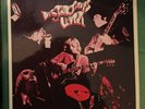 The Litter Distortions Reissue on Eva Records 1983 NM/NM