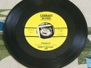 Danny's Reasons 45 Triangles / Under my Thumb 1967 Minnesota Garage M-