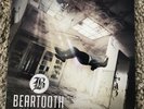 Beartooth - Disgusting Limited White 180G Vinyl LP Rare A Day To Remember