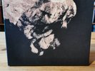 the pixies-death to the pixies-rare 4 lp set box