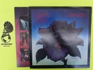 Thin Lizzy Black Rose - LP Record Vinyl Album 12