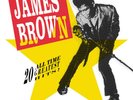 James Brown ?- 20 All Time Greatest Hits 2 x LP BEST OF Vinyl Album - NEW RECORD