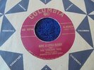 The Collins Kids - Go Away, Don't Bother Me 1957 USA 45 COLUMBIA 1st ROCKABILLY