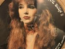 kate bush vinyl LP Picture Disc LimIted Edition