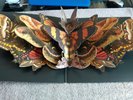 THE COURTEENERS MORE. AGAIN. FOREVER. RARE POP UP SLEEVE LP 2000 ONLY