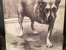 Alice In Chains 1995 Self Titled (Grind) Double LP Columbia C2 67248
