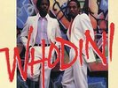 Whodini (1LP/Coloured) VINYL NEW