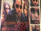 Lenny Kravitz “Are You Gonna Go My Way” LP 1993 CLEAR VINYL - USED - NO CD