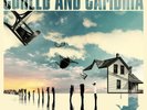 COHEED AND CAMBRIA COLOR BEFORE THE SUN LP VINYL RECORD ALBUM NEW SEALED
