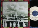 RED HOT CHILI PEPPERS Under The Bridge / German SP 1992 WARNER 5439-19010-7
