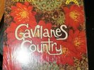 1973 Record Album LP Gavilanes Country Los Tremendos Gavilanes Juan y Salomon