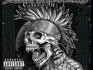Suicidal Tendencies-Still Cyco Punk After All Thes (US IMPORT) VINYL NEW