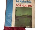 LA MADRUGADA LOS GATOS ECUADOR