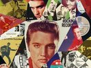 Elvis Presley From Cover To Vinyl . The Artistry of Elvis Bootlegs Book NEW