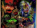 ACID WITCH Album WITCHTANIC HELLUCINATIONS Vinyl RECORD w Inserts Lp Rare MINT