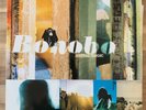 Bonobo ?– Animal Magic - 2013 Vinyl 2LP - Near Mint (NM/NM) - TRULP007