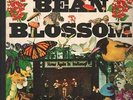 BILL MONROE Bean Blossom DOUBLE LP VINYL Japan McA 1974 27 Track Promo In