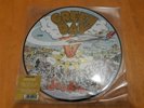 Green day dookie picture disc lp vinyl