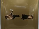 Run The Jewels - RTJ Stay Gold Collectors Box