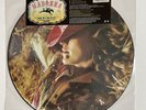 Madonna Music Limited Edition 2000 Release Picture Disc 12” Vinyl