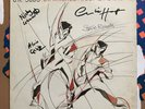 U.K SUBS Diminished Responsibility Vinyl Fully Signed