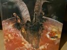 The Rolling Stones - Goats Head Soup - 2LP Clear Vinyl