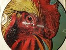 Pavement - Watery Domestic (Ltd Edition Picture Disc, Big Cat Records 1992) VG+
