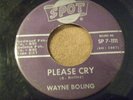 RARE Johnson City, TN lbls Garage Rock Wayne Boling 