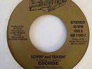 Metal Hard Rock 45 COCHISE Lovin' & Teasin'/Falling Star HEAR Rare L.A.