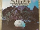 The Golliwogs Pre-Credence 12 Inch Vinyl Compilation 1986 Repress F-9474