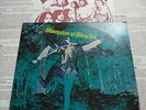 DIMENSION OF MIRACLES VINYL 12