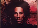 Bob Marley & The Wailers Natty Dread LP Album RP Vinyl Schallplatte 190521