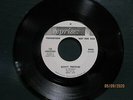 The Underdogs - Don't Pretend / Little Girl - Reprise 0446 White Promo  Ex+