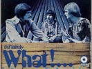 BRIAN AUGER & TRINITY: Definitely What US Atco ’69 Jazz Blues Rock LP NM- Vinyl