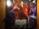 Abominable Putridity The Anomalies Of Artificial Origin Vinyl LP Rare
