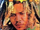 Fred Locks - Black Star Liner In Dub [New Vinyl LP]