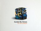 Guided By Voices Do The Collapse ORANGE VINYL LP Record & MP3 robert pollard NEW