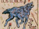LOS LOBOS-HOW WILL THE WOLF SURVIVE LP NEW VINYL