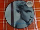 RARE+LIMITED Picture disk LP,Record vinyl,12 disc:Madonna-True Blue(Hype sticker