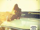 Bruce Springsteen: American Beauty - LP Vinyl 140 G. . Record Store Day 2014